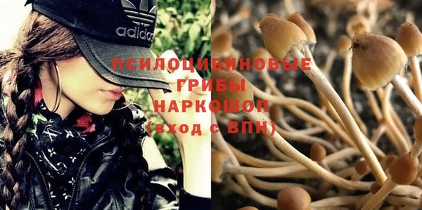 МДМА Арсеньев