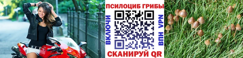 Псилоцибиновые грибы MAGIC MUSHROOMS  площадка Telegram  Кирово-Чепецк 