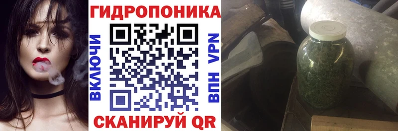 дарк нет клад где найти Кирово-Чепецк МАРИХУАНА сатива